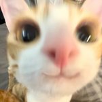 [드루와] 학교축제에서 춤추는애들 길티임ㅋㅋ;;