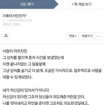 자기가 비밀요원이라는 과대망상 글 쓰시는 분