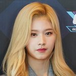 사나 이 사진 스키즈 <b>리노닮음</b>