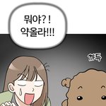 나랑너