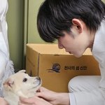 [<b>TXT</b>] 백구 내일이랑 연주니