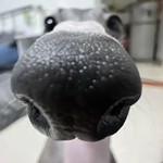 [댓글부탁해] 이사진이 그렇게 별로여??