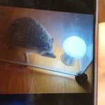 [TXT] 울 <b>오디</b>