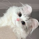 <b>알바</b> 시간 ㄱㅊ을까??ㅠㅠㅠㅠ