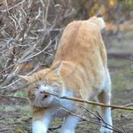 [댓글부탁해] 너희<b>대학</b><b>선배</b>들응 인스타스토리 잘읽음 ㅜ??