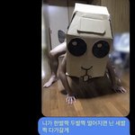제발 짤 하나만 찾아<b>줄</b><b>사람</b>...