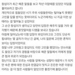 힘들어하는 팬의 <b>DM</b>에 답장해준 이창섭