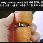 13년만에 찾은 다이아몬드 <b>반지</b>