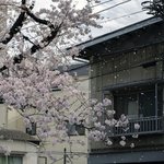 너네 남주혁 송강 이도현 송강 이런 연<b>옌들</b>이