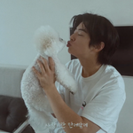 차은우는 무슨 반려견까지 예쁘냐