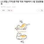 [이것좀봐줘] 동구밭 대표 억울해서 3일 <b>밤샘</b>했을듯