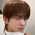 요즘 떠오르는 <b>사막</b>여우상은 얘임