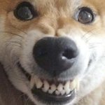 얘들아 나방금 사이비소굴에서 겨우나옴..사이비 조심하셈