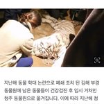 갈비뼈 사자 있었던 김해 00<b>동물원</b>