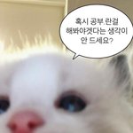 [드루와] (사진있음)2주만에 모공 홍조 개선됨(드라마틱XXXX)