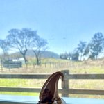 [타로] 최근의 타로리딩 그리고 제주도, 매일 매일 행복해요