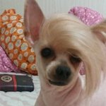 이거 그건데 노홍철식 무마 방법