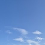 제 사진인데요