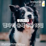 [오늘의<b>운세</b>] 별자리 <b>운세</b> 2024년 3월 15일 [우연지사]
