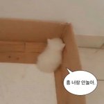 나 다이어트 독하게 했는데 <b>땅</b>치고 후회함