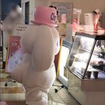 나 <b>사범</b>대 다니는데 외모강박증 땨문에 교사 못될거 같아