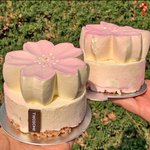 [모두드루와] <b>투썸</b> 신상케이크 가격봐