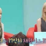 [댓글부탁해] 김채원 <b>허리</b> 17인치