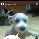 한소희 스토리 <b>올림</b>