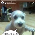 방금 올린 한소희 <b>인스</b>스