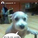 와 한소희 <b>기존</b>쎄 레전드다 ㅋㅋㅋ