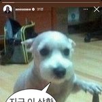한소희 스토리 <b>올림</b>