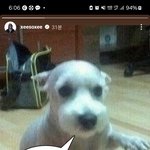 [모두드루와] 한소희 인스스로 <b>혜리</b> <b>저격</b>하네ㅋㅋ