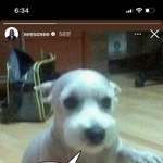[댓글부탁해] 연예계가 사람 ㄹㅇ 도파민 터지게 <b>하네</b>