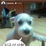 한소희가 <b>혜리</b> <b>저격</b>했네