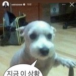 <b>혜리</b> 인스타로 네티즌들이 한소희류준열 환승연애