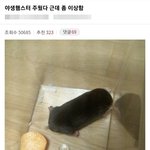 [19] 나 전문대 간호다니는데