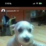솔직히 <b>팩트</b>는