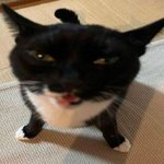 [댓글부탁해] <b>쌍액</b> 부작용으로 눈부을때