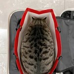 [모두드루와] <b>환승</b>플에 함 물어봄 내 개인사지만ㅋㅋ