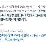 <b>수의사</b>는 증원 안합니까???? (돼지고기 드시는분들 꼭꼭 보십시오)