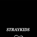 [평테이] 스키즈 <b>리노</b>