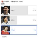 손흥민팬 수준 ㅋㅋㅋ