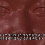 와 진짜 판 떠나야겠다