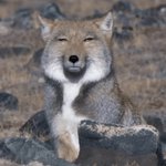 인셉션 <b>ost</b> 개좋노