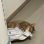 [드루와] 너네 <b>환연</b> 미는 커플 누구야