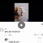 너희도 이거 이해 <b>안감</b>?