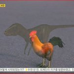 공룡 조상이 닭이래