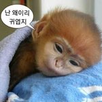삼반수 <b>논술</b> 다 불합격한 애들 있냐
