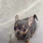 오늘 <b>엄마때매</b> 울뻔햇음