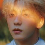 투바투 컨셉 포토